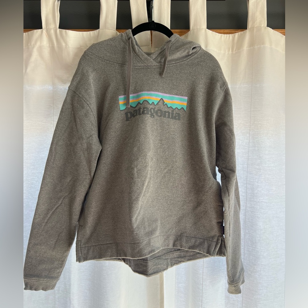 Women’s Patagonia hoodie